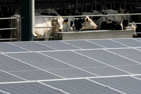 tagreuters.com2025binary_LYNXMPELAL0I5-VIEWIMAGE