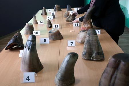 tagreuters.com2025binary_LYNXMPELAH0BO-VIEWIMAGE