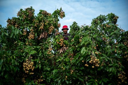 tagreuters.com2025binary_LYNXMPELAI01K-VIEWIMAGE