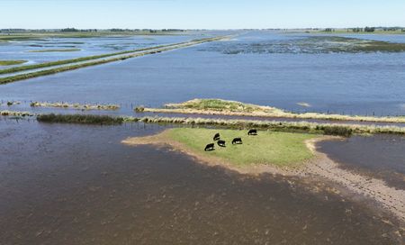 tagreuters.com2025binary_LYNXMPELAH0VF-VIEWIMAGE