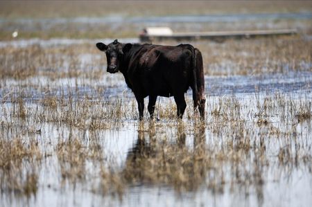 tagreuters.com2025binary_LYNXMPELAH0VG-VIEWIMAGE