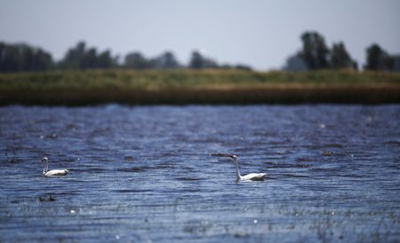 tagreuters.com2025binary_LYNXMPELAH0VY-VIEWIMAGE