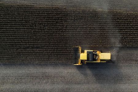 tagreuters.com2025binary_LYNXMPELAN0K8-VIEWIMAGE