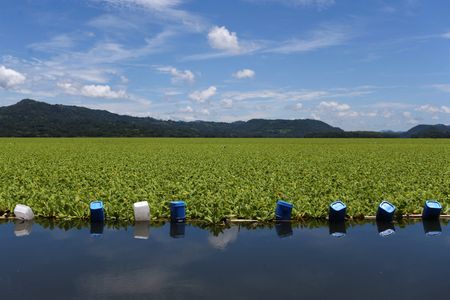 tagreuters.com2025binary_LYNXMPEL9U0TU-VIEWIMAGE