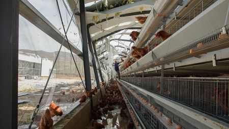 tagreuters.com2025binary_LYNXMPELA107U-VIEWIMAGE