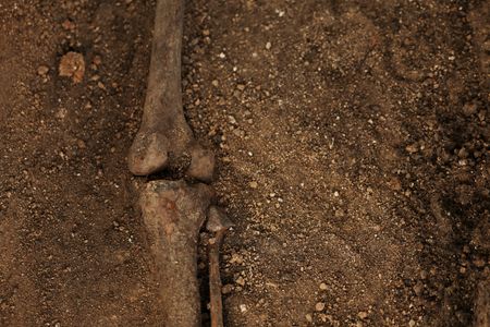 tagreuters.com2025binary_LYNXMPELAJ0LR-VIEWIMAGE