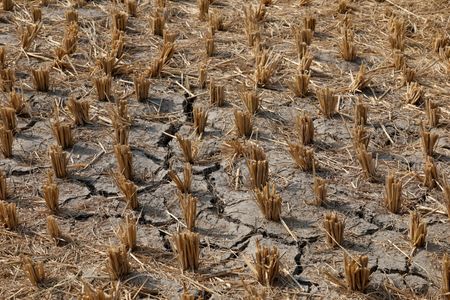 tagreuters.com2025binary_LYNXMPELAG0AO-VIEWIMAGE