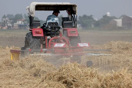 tagreuters.com2025binary_LYNXMPELAG0AV-VIEWIMAGE