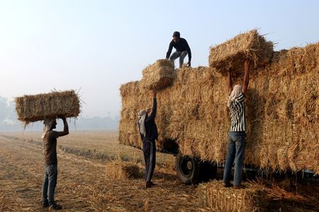 tagreuters.com2025binary_LYNXMPELAG0AX-VIEWIMAGE