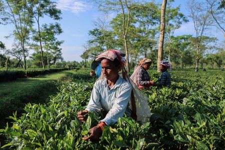 tagreuters.com2025binary_LYNXMPELAJ0BO-VIEWIMAGE