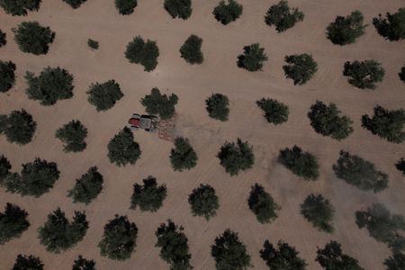 tagreuters.com2025binary_LYNXMPELA20NK-VIEWIMAGE