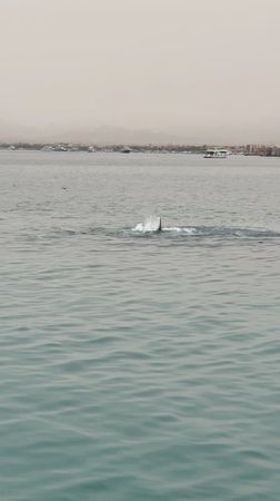 tagreuters.com2023binary_LYNXMPEJ5807E-VIEWIMAGE