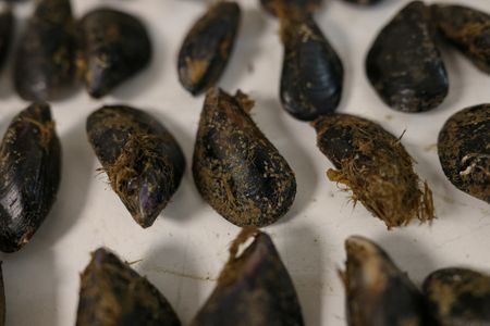 tagreuters.com2025binary_LYNXMPELA20FD-VIEWIMAGE